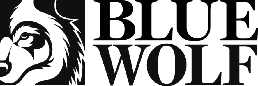 Logo of Blue Wolf Capital Partners