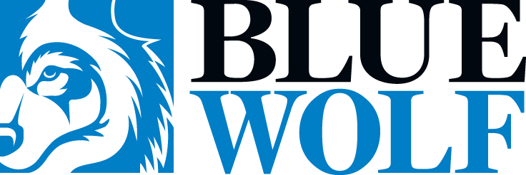 This is a logo of Blue Wolf capital partners